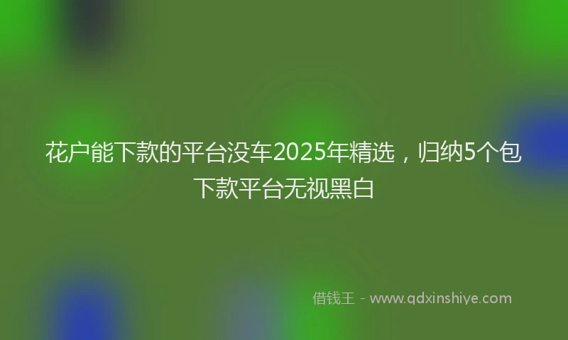花户能下款的平台没车2025年精选，归纳5个包下款平台无视黑白