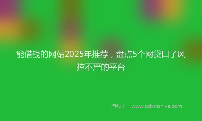 能借钱的网站2025年推荐，盘点5个网贷口子风控不严的平台