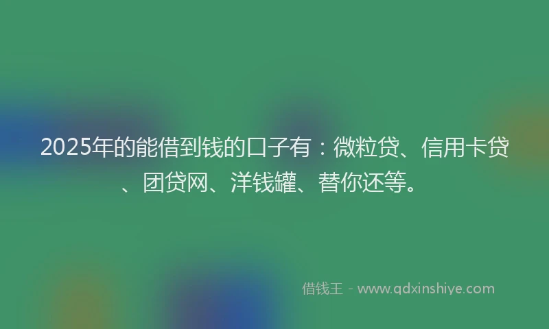 2025年的能借到钱的口子有：微粒贷、信用卡贷、团贷网、洋钱罐、替你还等。
