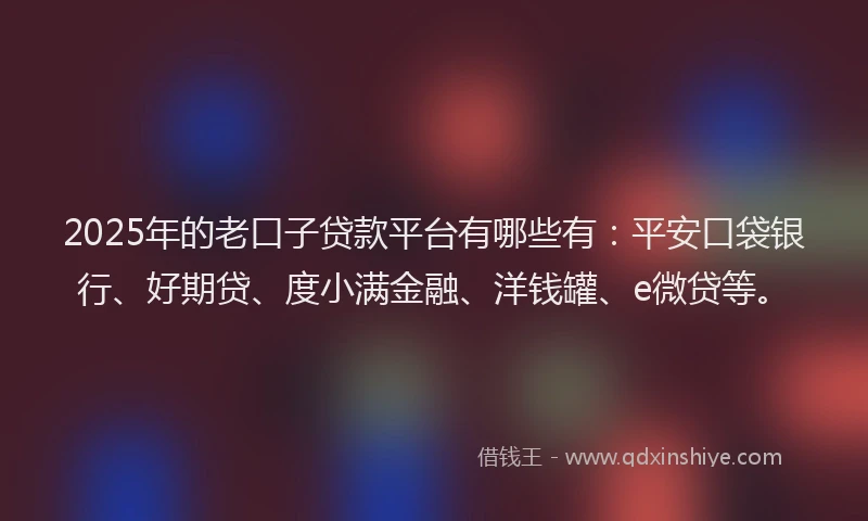 2025年的老口子贷款平台有哪些有：平安口袋银行、好期贷、度小满金融、洋钱罐、e微贷等。