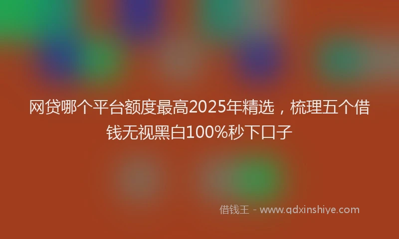 网贷哪个平台额度最高2025年精选，梳理五个借钱无视黑白100%秒下口子