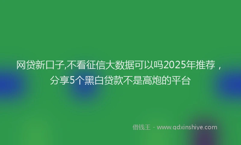 网贷新口子,不看征信大数据可以吗2025年推荐，分享5个黑白贷款不是高炮的平台