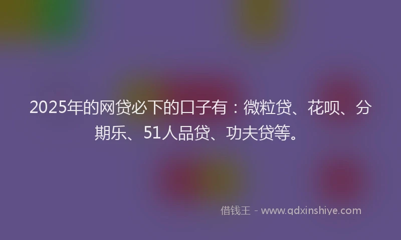 2025年的网贷必下的口子有：微粒贷、花呗、分期乐、51人品贷、功夫贷等。