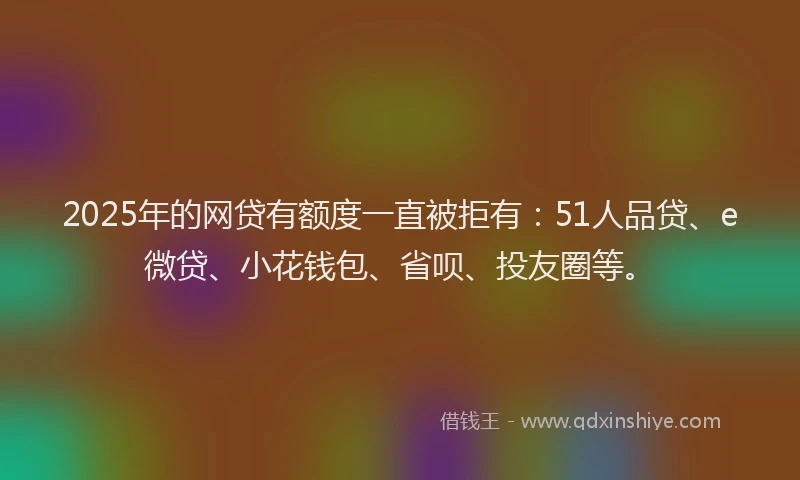 2025年的网贷有额度一直被拒有：51人品贷、e微贷、小花钱包、省呗、投友圈等。