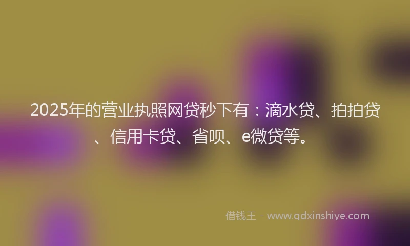 2025年的营业执照网贷秒下有：滴水贷、拍拍贷、信用卡贷、省呗、e微贷等。