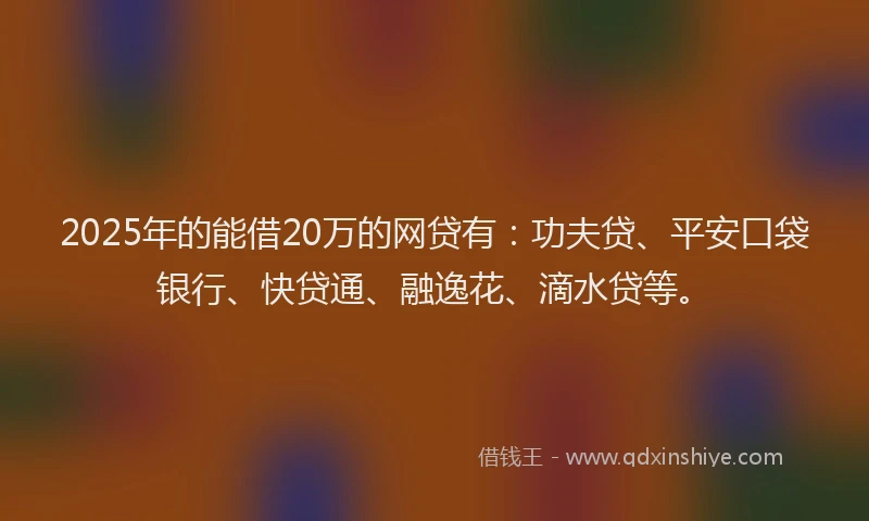 2025年的能借20万的网贷有：功夫贷、平安口袋银行、快贷通、融逸花、滴水贷等。