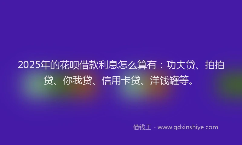2025年的花呗借款利息怎么算有：功夫贷、拍拍贷、你我贷、信用卡贷、洋钱罐等。