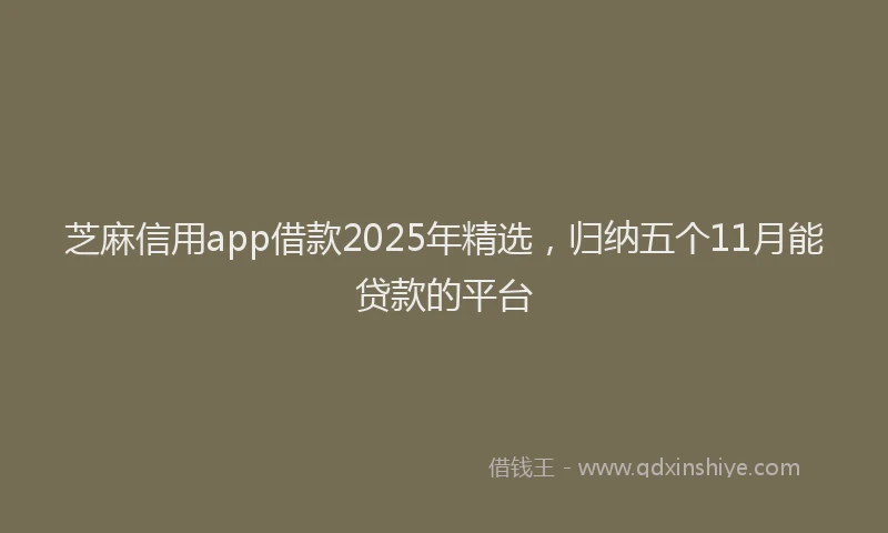 芝麻信用app借款2025年精选，归纳五个11月能贷款的平台