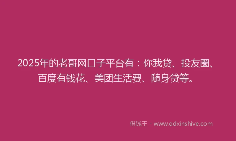 2025年的老哥网口子平台有：你我贷、投友圈、百度有钱花、美团生活费、随身贷等。