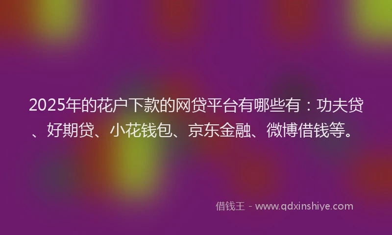 2025年的花户下款的网贷平台有哪些有：功夫贷、好期贷、小花钱包、京东金融、微博借钱等。