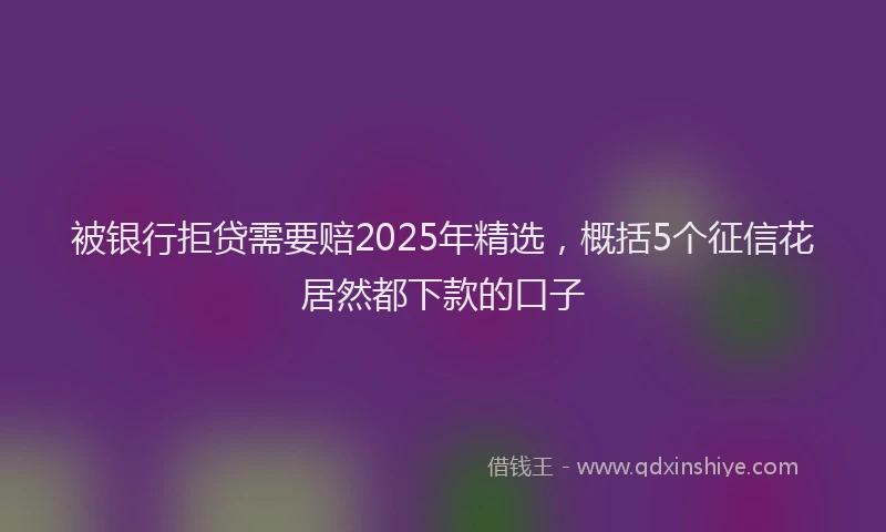被银行拒贷需要赔2025年精选，概括5个征信花居然都下款的口子