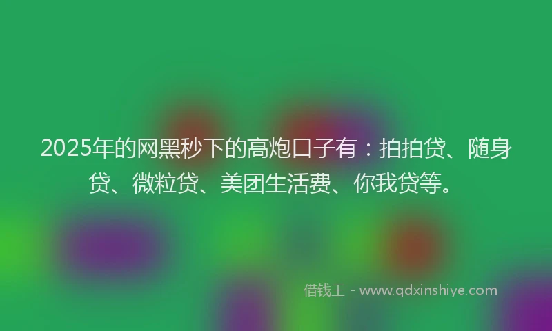 2025年的网黑秒下的高炮口子有：拍拍贷、随身贷、微粒贷、美团生活费、你我贷等。
