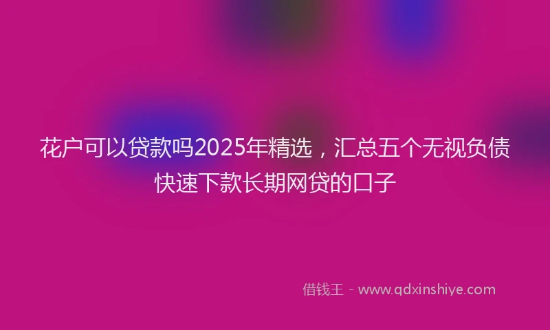 花户可以贷款吗2025年精选，汇总五个无视负债快速下款长期网贷的口子