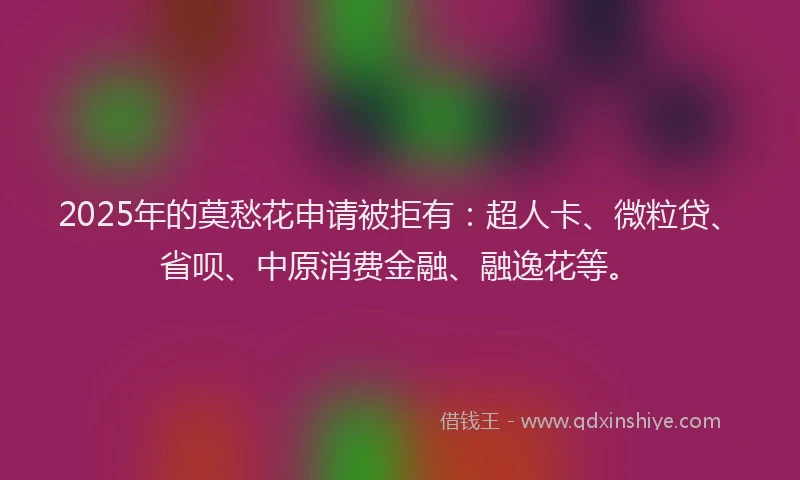 2025年的莫愁花申请被拒有：超人卡、微粒贷、省呗、中原消费金融、融逸花等。