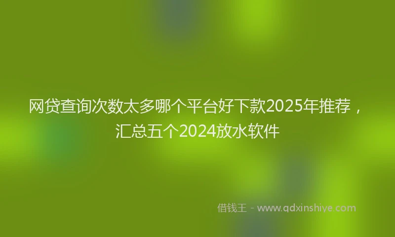 网贷查询次数太多哪个平台好下款2025年推荐，汇总五个2024放水软件