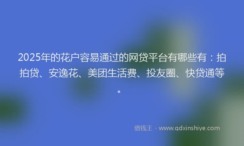 2025年的花户容易通过的网贷平台有哪些有：拍拍贷、安逸花、美团生活费、投友圈、快贷通等。