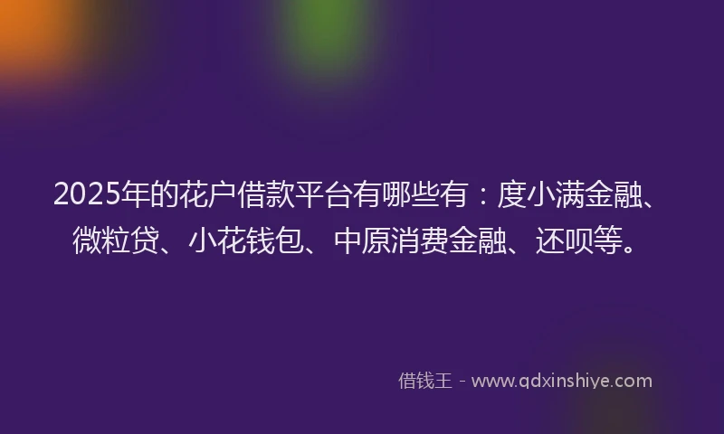 2025年的花户借款平台有哪些有：度小满金融、微粒贷、小花钱包、中原消费金融、还呗等。