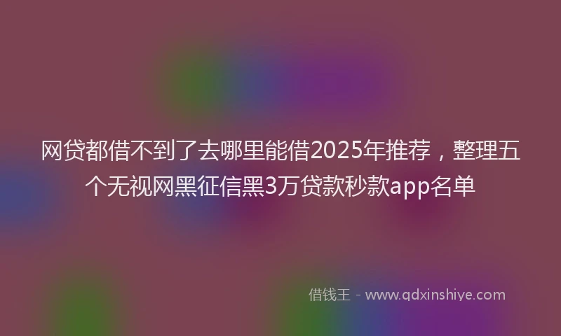网贷都借不到了去哪里能借2025年推荐，整理五个无视网黑征信黑3万贷款秒款app名单
