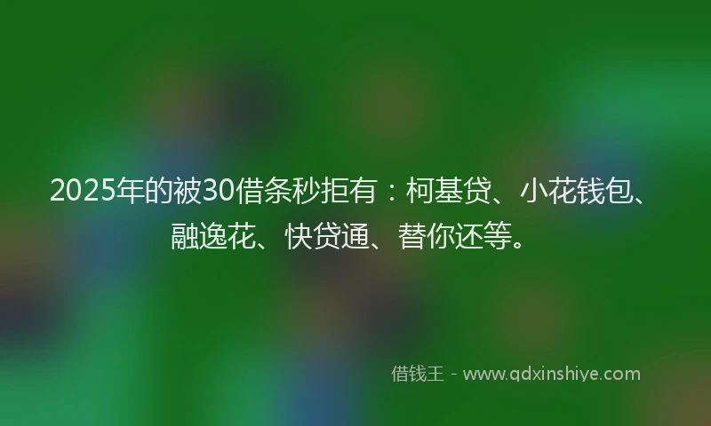 2025年的被30借条秒拒有：柯基贷、小花钱包、融逸花、快贷通、替你还等。