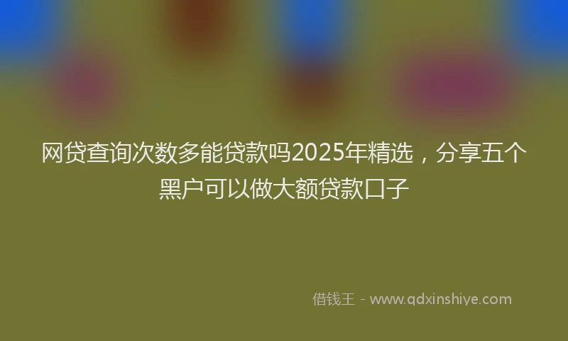 网贷查询次数多能贷款吗2025年精选，分享五个黑户可以做大额贷款口子