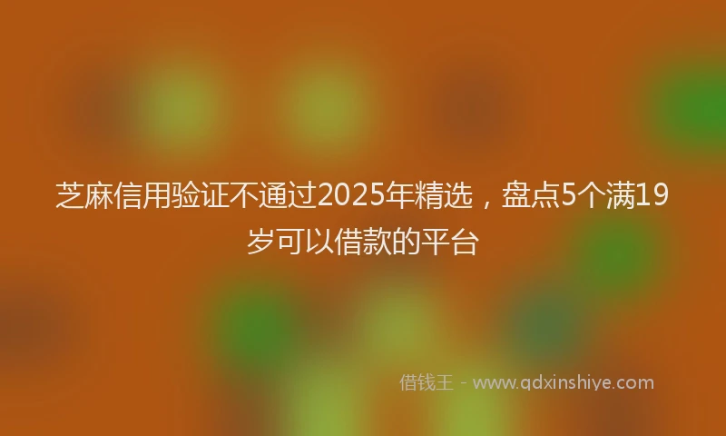 芝麻信用验证不通过2025年精选，盘点5个满19岁可以借款的平台