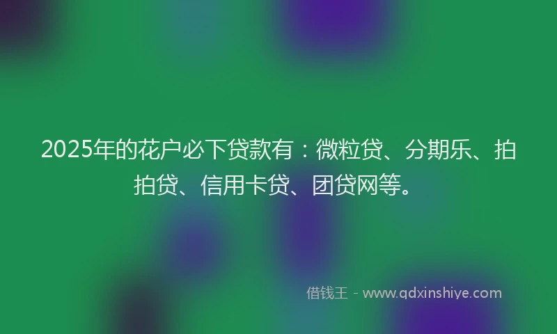 2025年的花户必下贷款有：微粒贷、分期乐、拍拍贷、信用卡贷、团贷网等。