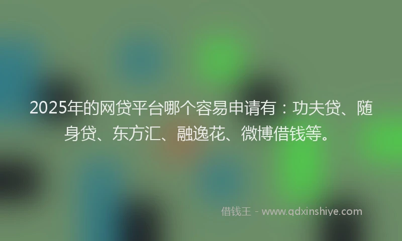 2025年的网贷平台哪个容易申请有：功夫贷、随身贷、东方汇、融逸花、微博借钱等。