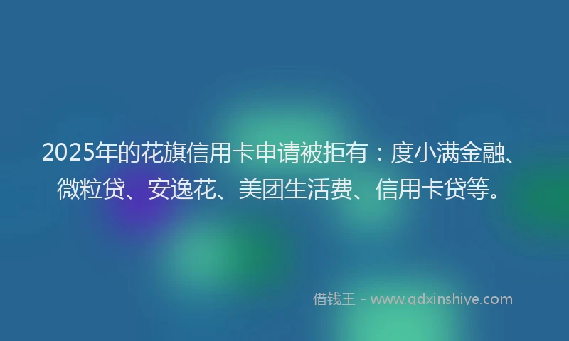 2025年的花旗信用卡申请被拒有：度小满金融、微粒贷、安逸花、美团生活费、信用卡贷等。