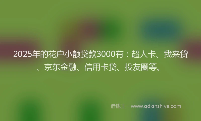 2025年的花户小额贷款3000有：超人卡、我来贷、京东金融、信用卡贷、投友圈等。