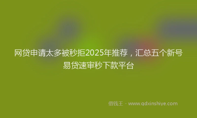 网贷申请太多被秒拒2025年推荐，汇总五个新号易贷速审秒下款平台