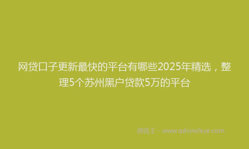 网贷口子更新最快的平台有哪些2025年精选，整理5个苏州黑户贷款5万的平台