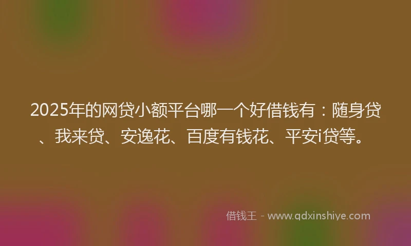 2025年的网贷小额平台哪一个好借钱有：随身贷、我来贷、安逸花、百度有钱花、平安i贷等。