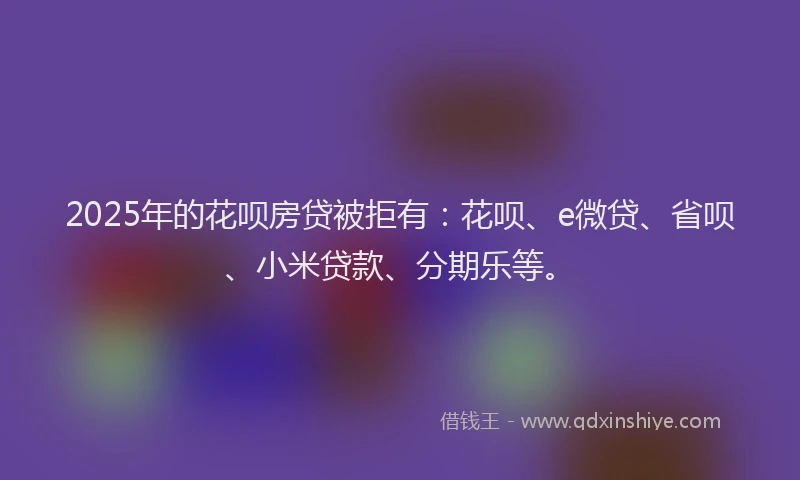 2025年的花呗房贷被拒有：花呗、e微贷、省呗、小米贷款、分期乐等。