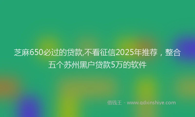 芝麻650必过的贷款,不看征信2025年推荐，整合五个苏州黑户贷款5万的软件