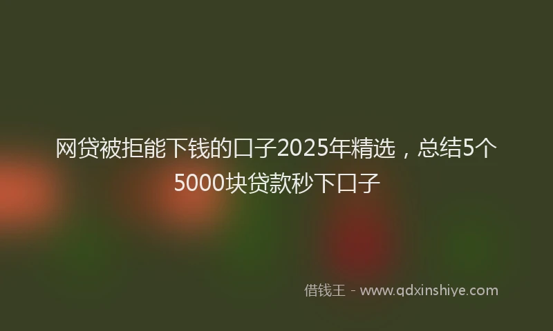 网贷被拒能下钱的口子2025年精选，总结5个5000块贷款秒下口子