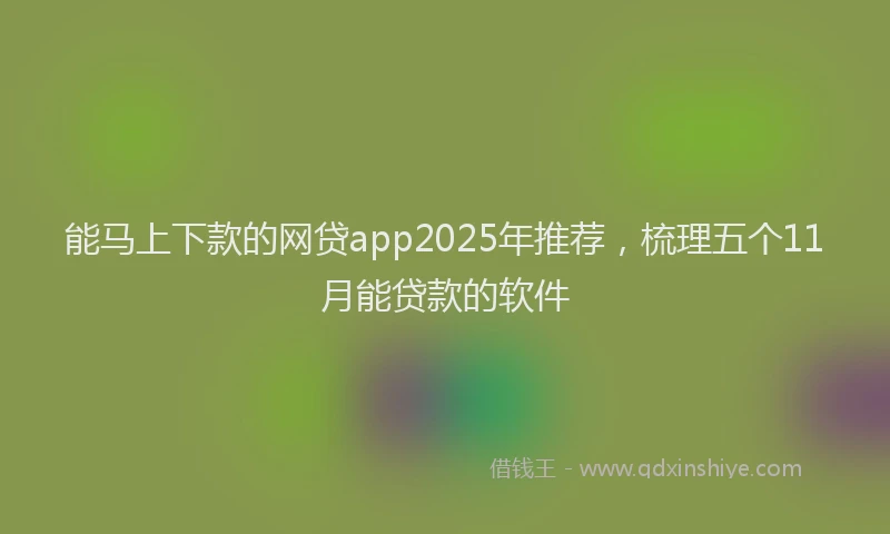 能马上下款的网贷app2025年推荐，梳理五个11月能贷款的软件