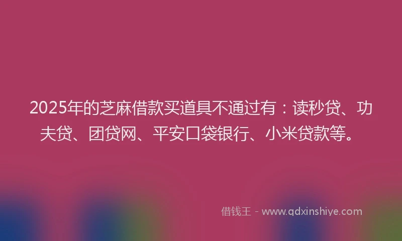2025年的芝麻借款买道具不通过有：读秒贷、功夫贷、团贷网、平安口袋银行、小米贷款等。