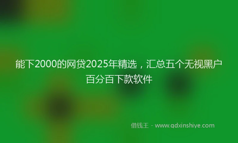 能下2000的网贷2025年精选，汇总五个无视黑户百分百下款软件