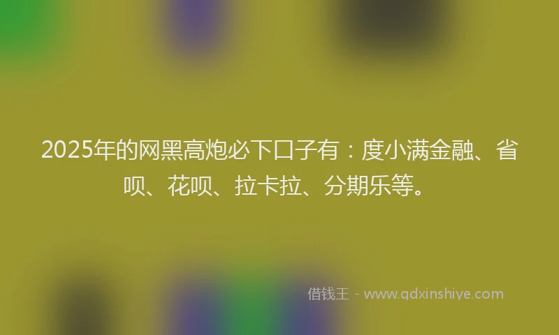 2025年的网黑高炮必下口子有：度小满金融、省呗、花呗、拉卡拉、分期乐等。