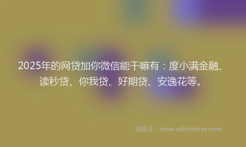 2025年的网贷加你微信能干嘛有：度小满金融、读秒贷、你我贷、好期贷、安逸花等。