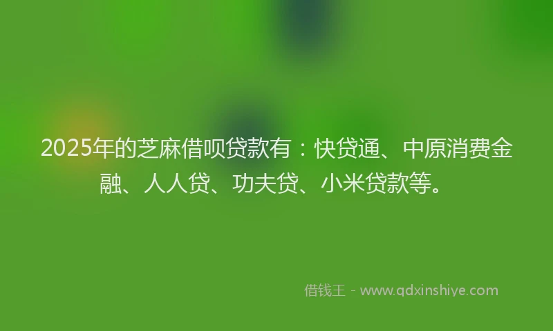 2025年的芝麻借呗贷款有：快贷通、中原消费金融、人人贷、功夫贷、小米贷款等。