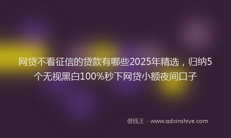 网贷不看征信的贷款有哪些2025年精选，归纳5个无视黑白100%秒下网贷小额夜间口子
