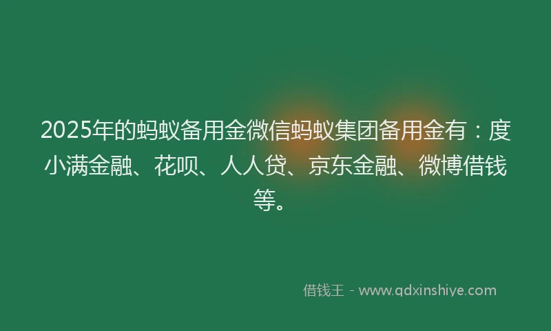 2025年的蚂蚁备用金微信蚂蚁集团备用金有：度小满金融、花呗、人人贷、京东金融、微博借钱等。