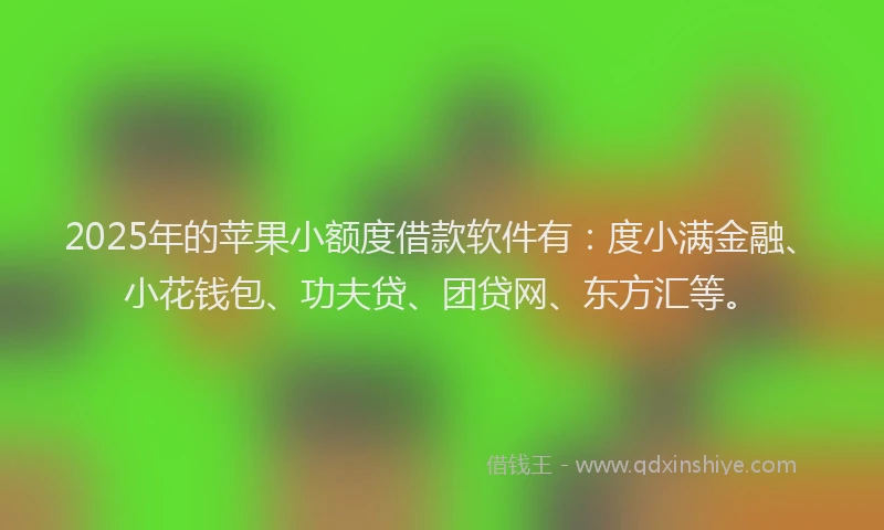 2025年的苹果小额度借款软件有：度小满金融、小花钱包、功夫贷、团贷网、东方汇等。