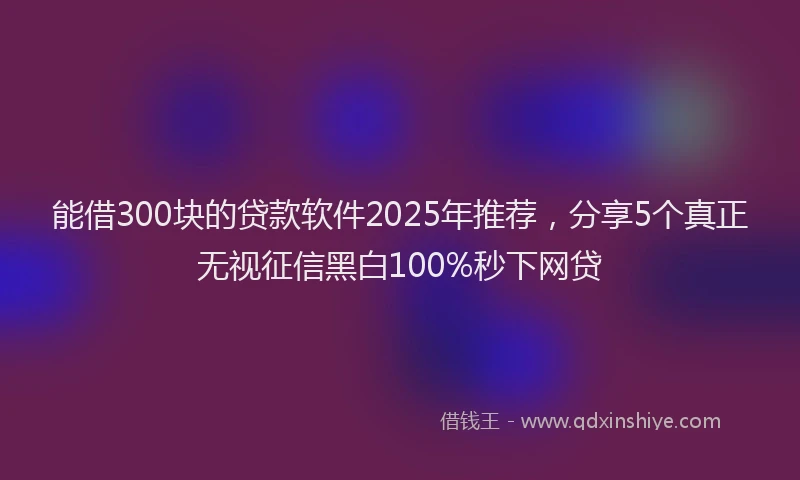 能借300块的贷款软件2025年推荐，分享5个真正无视征信黑白100%秒下网贷