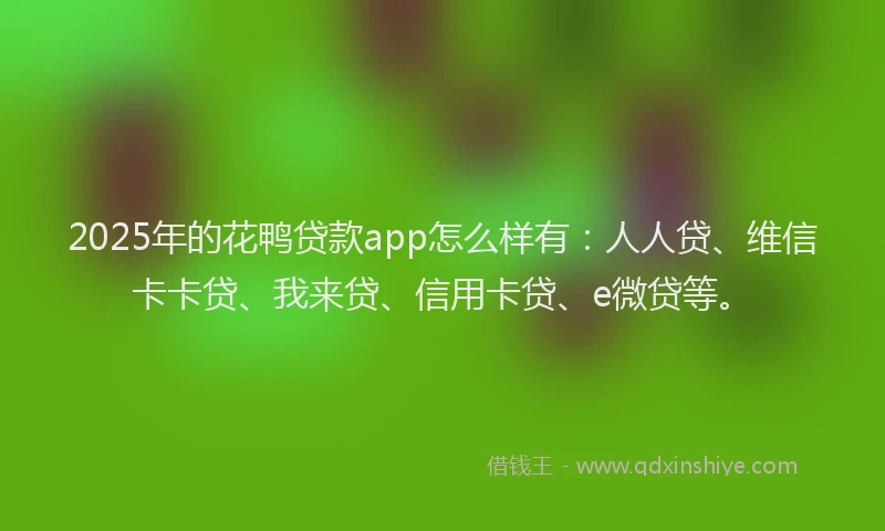2025年的花鸭贷款app怎么样有：人人贷、维信卡卡贷、我来贷、信用卡贷、e微贷等。