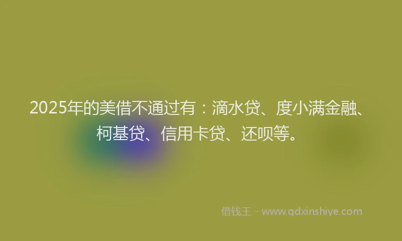 2025年的美借不通过有：滴水贷、度小满金融、柯基贷、信用卡贷、还呗等。