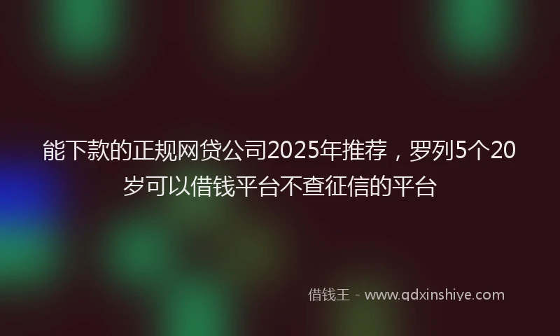 能下款的正规网贷公司2025年推荐，罗列5个20岁可以借钱平台不查征信的平台