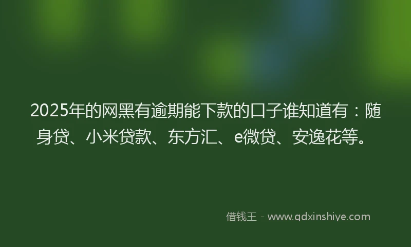 2025年的网黑有逾期能下款的口子谁知道有：随身贷、小米贷款、东方汇、e微贷、安逸花等。