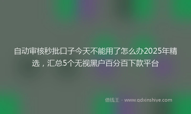 自动审核秒批口子今天不能用了怎么办2025年精选，汇总5个无视黑户百分百下款平台